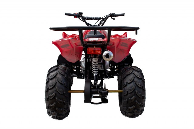 L Red - Bacl (IMG_6301)